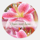 Search for pink stargazer lilies stickers For her