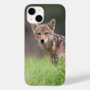 Search for coyote electronics Canine