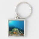 Search for anemone key rings Nature