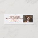 Search for apbt Pit
