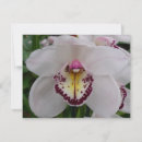 Search for orchid note cards Elegant