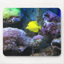 Search for angel mouse electronics Ocean