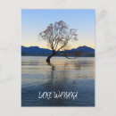 Search for wanaka postcards That wanaka tree