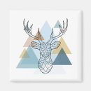Search for stag magnets Modern