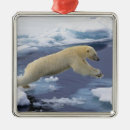Search for mammals christmas tree decorations Blue