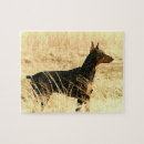 Search for doberman puzzles Dog