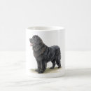 Search for newfoundlander mugs Dog