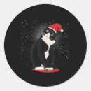 Search for winter cat stickers Snow