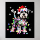 Search for viral posters Meme