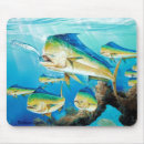 Search for dolphin mousepads Fish