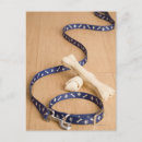Search for collar postcards Vertical