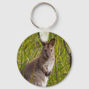 Search for wallabies key rings Wallaby