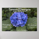 Search for special occasions posters Flowers
