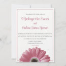 Search for pink gerbera invitations Modern