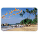 Search for fishing magnets People