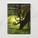 Search for faith invitations Inspiration