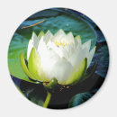 Search for pads magnets White
