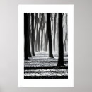 Search for black and white forest posters Beautiful
