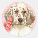 Search for english setter stickers Puppy