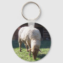 Search for sheeps key rings Wool