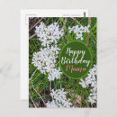 Search for fresh flowers birthday cards For her