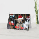 Search for silly christmas cards Funny