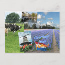 Search for flower bulbs postcards Floral