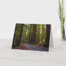 Search for giant cards Nature