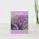 Search for lavendar cards Lavender