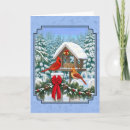 Search for red cardinal bird christmas cards Pine trees
