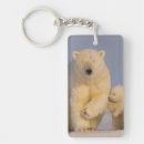 Search for refuges key rings Fauna