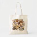 Search for beach shells accessories Colourful