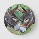 Search for donkey clocks Animal