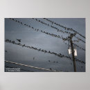 Search for blackbirds art Raven