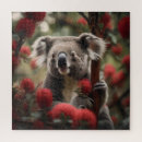 Search for koala puzzles Wildlife