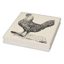 Search for fowl rubber stamps Rooster
