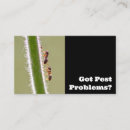 Search for ant business cards Exterminator