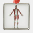 Search for musculoskeletal posters People