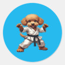 Search for cute karate stickers Kung fu
