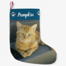 Search for orange cat christmas stockings Kitty