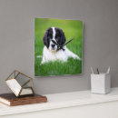 Search for newfoundland clocks Puppy