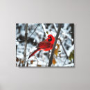 Search for cardinal painting canvas prints Beautiful
