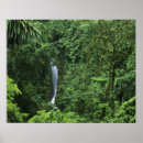 Search for costa rica travel posters Rainforest