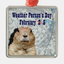 Search for weather christmas tree decorations Meteorologist