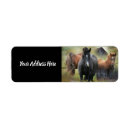Search for old barn return address labels Western