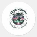 Search for the true north stickers Vbs 2
