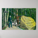 Search for largest posters View