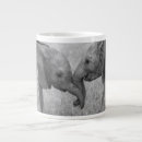 Search for baby elephants mugs Kenya africa