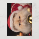 Search for christmas kitten postcards Santa