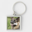 Search for shepherd dog key rings Portrait